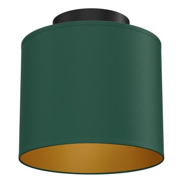 Plafonnier ARDEN 1xE27/15W/230V Ø 18 cm vert
