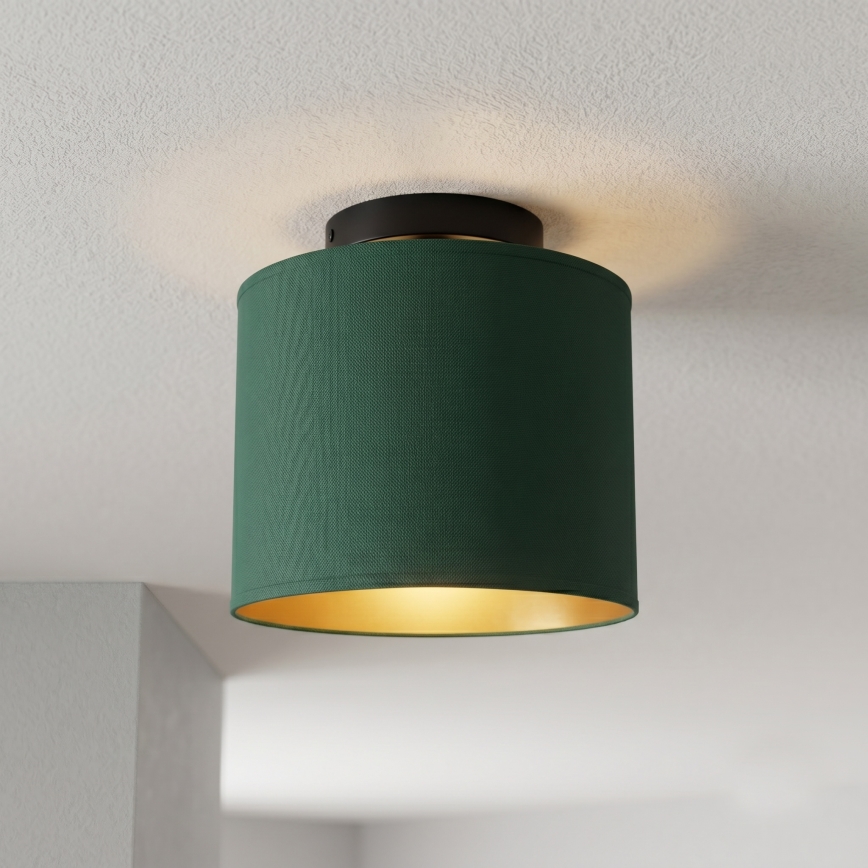 Plafonnier ARDEN 1xE27/15W/230V Ø 18 cm vert