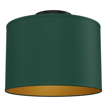 Plafonnier ARDEN 1xE27/15W/230V Ø 25 cm vert
