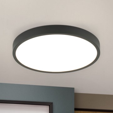Plafonnier BULLY LED/24W/230V d. 24 cm noir