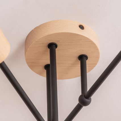 Plafonnier CAMBRIDGE 6xE27/15W/230V, en pin