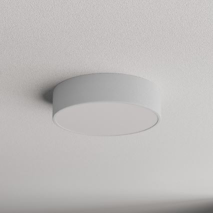 Plafonnier de salle de bains avec détecteur CLEO 2xE27/24W/230V Ø 30 cm gris IP54