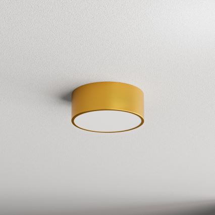 Plafonnier de salle de bains CLEO avec détecteur — 1xE27/24W/230V, Ø 20 cm, IP54, finition dorée