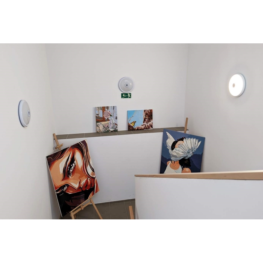 Plafonnier extérieur LED avec détecteur de mouvement et détecteur crépusculaire LED/16W/230V diam. 28,5 cm IP54 blanc