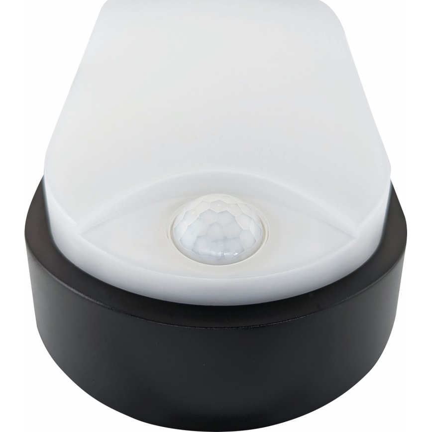 Plafonnier extérieur avec détecteur LED/14W/230V IP54 noir