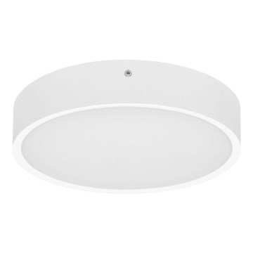 Plafonnier extérieur avec détecteur MARTIN LED/15W/230V 3000/4000K d. 30 cm IP65 blanc