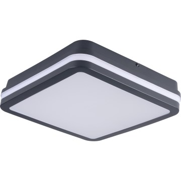 Plafonnier extérieur BENO LED/24/30W/230V 3000/3500/4000K IP65 anthracite carré