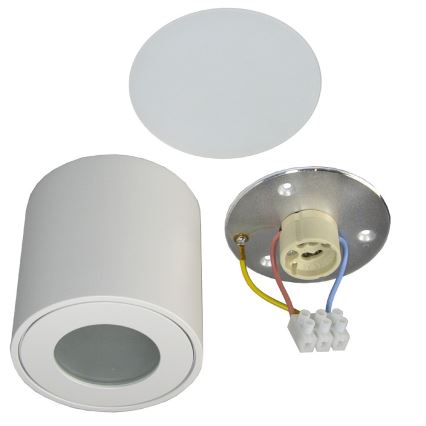 Plafonnier extérieur FARA 1xGU10/50W/230V IP54 blanc