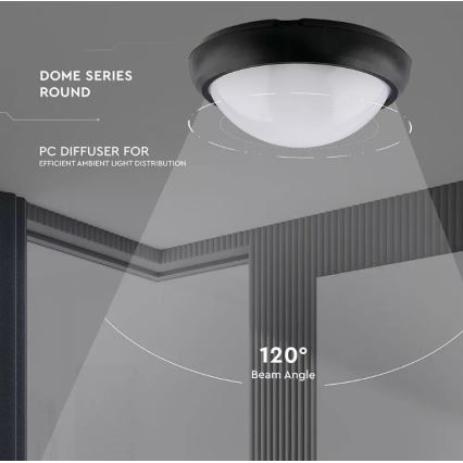 Plafonnier extérieur LED/12W/230V IP54