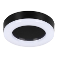Plafonnier extérieur TURA LED/15W/230V 4000K IP65 noir
