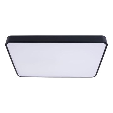 Plafonnier FELIZ LED/40W/230V 4000K 40x40 cm noir