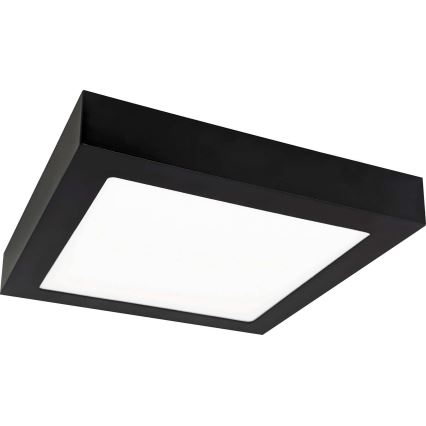 Plafonnier FENIX LED/12W/230V 2800K 17 cm