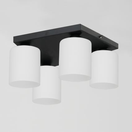 Plafonnier FORT 4xE27/60W/230V
