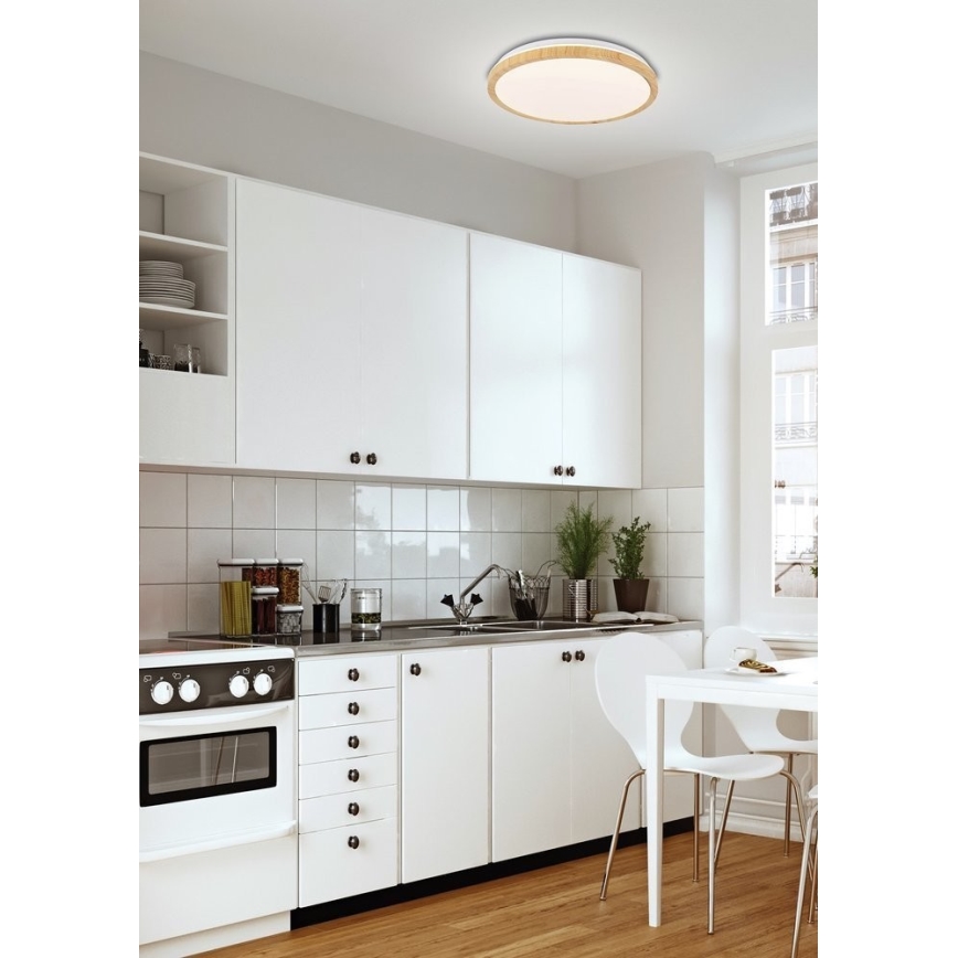 Plafonnier GANDAVA LED/24W/230V