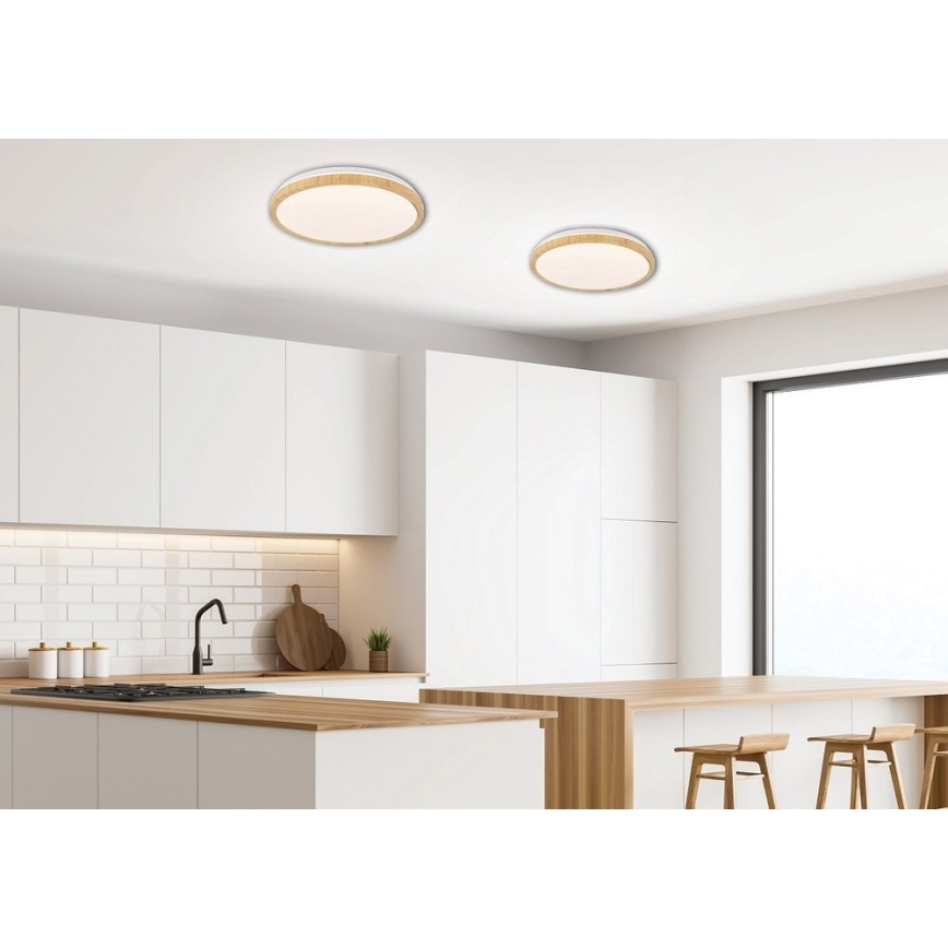 Plafonnier GANDAVA LED/24W/230V