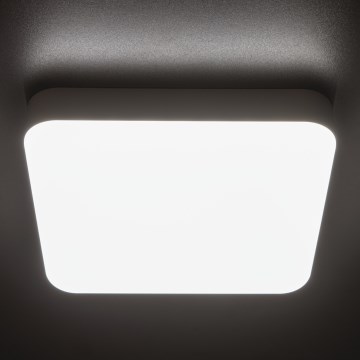 Plafonnier industriel IPER LED/26W/230V IK10 IP65 carré blanc