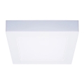 Plafonnier LED/12W/230V 3000/4000/6000K 17x17 cm blanc