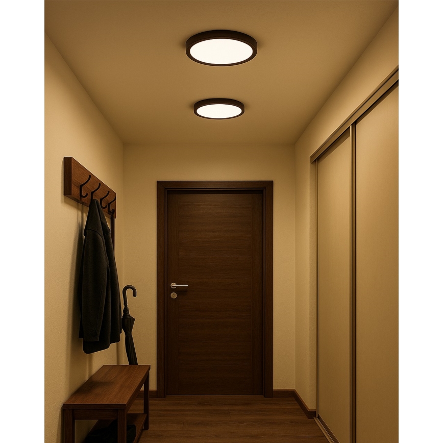 Plafonnier LED/24W/230V 3000/4000/6500K Ø 30 cm marron