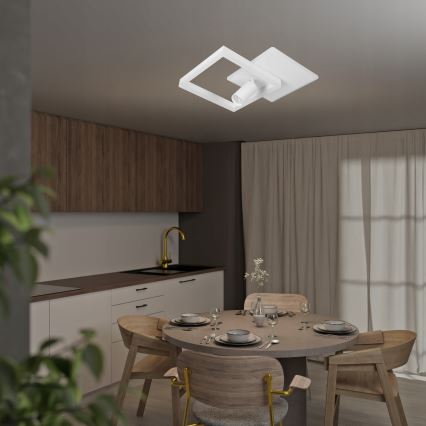 Plafonnier LED 38 W, 230 V + 1× ampoule GU10 30 W, blanc
