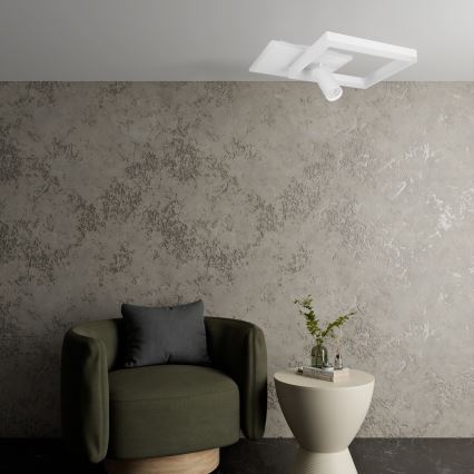 Plafonnier LED 38 W, 230 V + 1× ampoule GU10 30 W, blanc