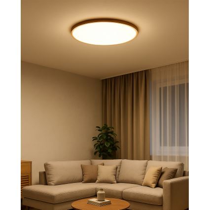 Plafonnier LED 40 W/230 V 3000/4000/6500 K Ø 50 cm beige