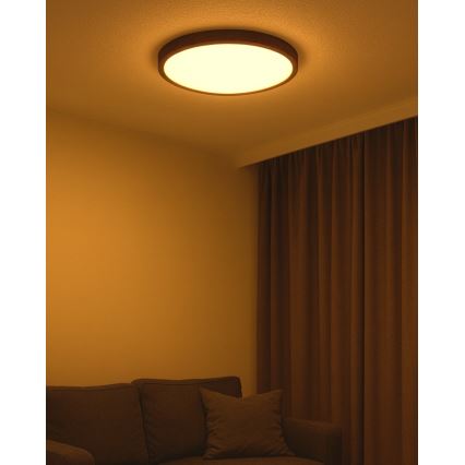 Plafonnier LED/40W/230V 3000/4000/6500K Ø 50 cm marron