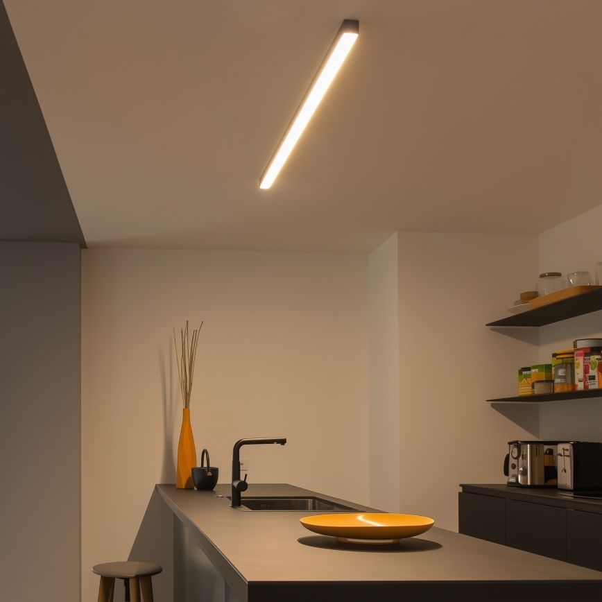 Plafonnier LED ALLDAY BASIC LED/20/30/40W/230V 2700/4000/6000K 120 cm noir