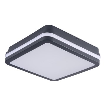 Plafonnier LED BENO LED/18W/230V 3000K Noir IP54