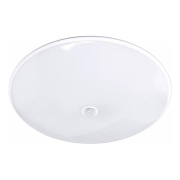 Plafonnier LED d'extérieur avec détecteur VISTA LED/15W/230V diam. 26 cm IP54 blanc