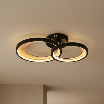 Plafonnier LED dimmable 35 W, 230 V, 3000–6500 K + télécommande