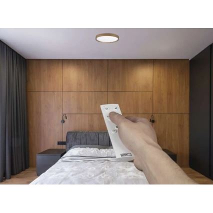 Plafonnier LED dimmable ILVI LED/30W/230V 2700-6500K Ø 40 cm beige + télécommande
