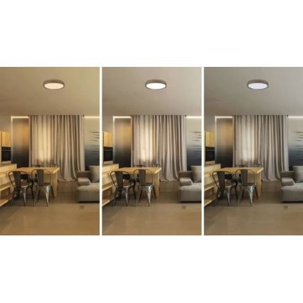 Plafonnier LED dimmable ILVI LED/30W/230V 2700-6500K Ø 40 cm beige + télécommande