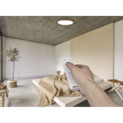 Plafonnier LED dimmable ILVI LED/45W/230V 2700-6500K Ø 50 cm beige + télécommande