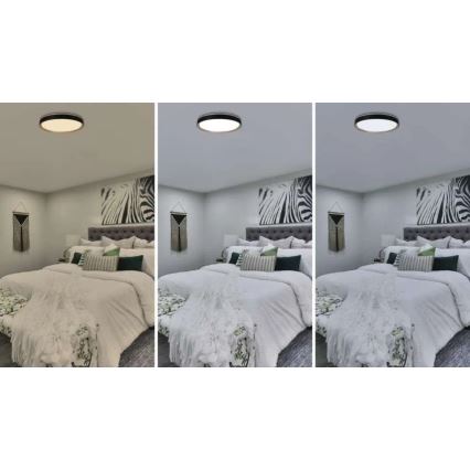 Plafonnier LED dimmable ILVI LED/45W/230V 2700-6500K Ø 50 cm noir/beige + télécommande