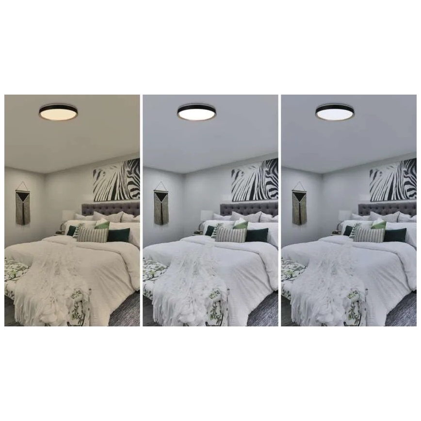 Plafonnier LED dimmable ILVI LED/45W/230V 2700-6500K Ø 50 cm noir/beige + télécommande