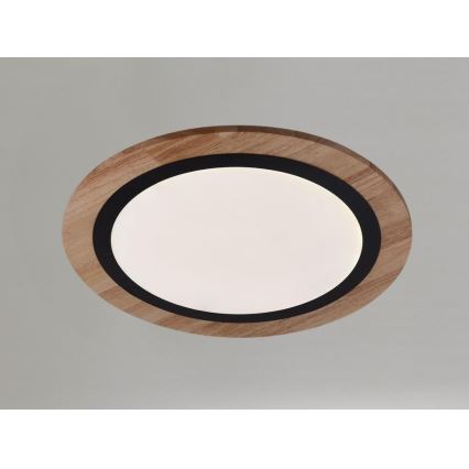 Plafonnier LED dimmable LED/25W/230V 3000-6500K + télécommande