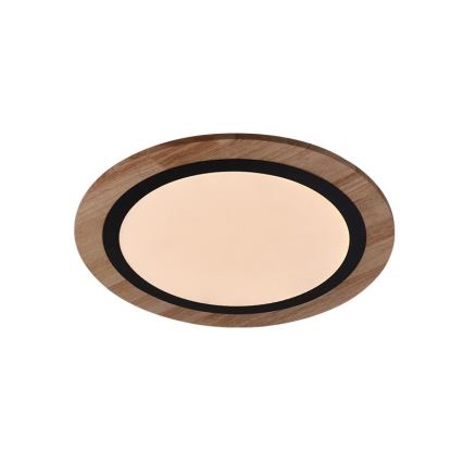 Plafonnier LED dimmable LED/25W/230V 3000-6500K + télécommande