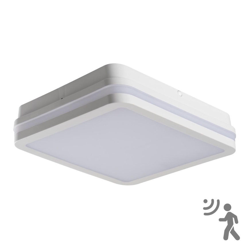 Plafonnier LED extérieur avec détecteur BENO LED/24W/230V 4000K IP54 blanc