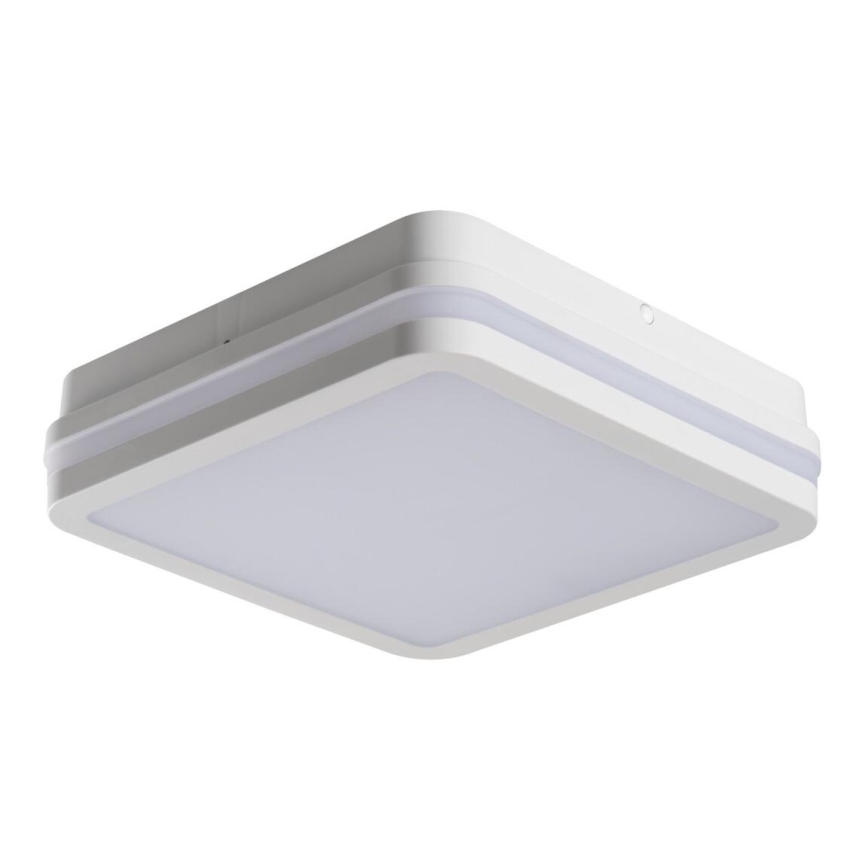 Plafonnier LED extérieur BENO LED/18W/230V 4000K blanc IP54