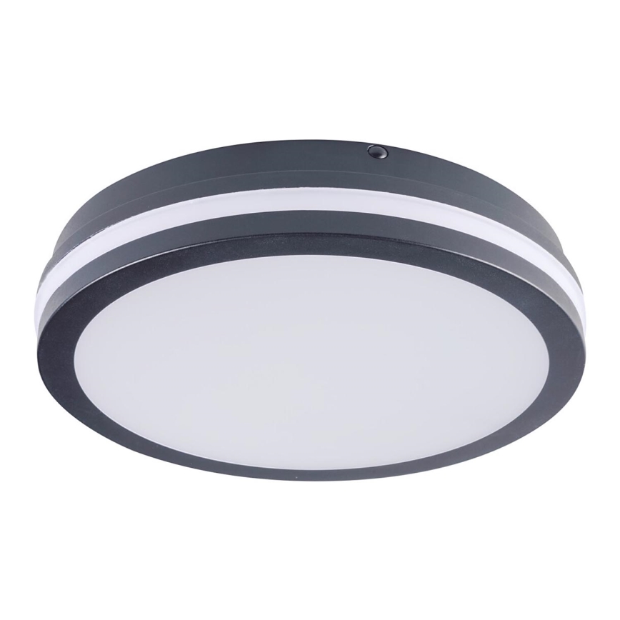 Plafonnier LED extérieur BENO LED/24W/230V 4000K IP54 Anthracite