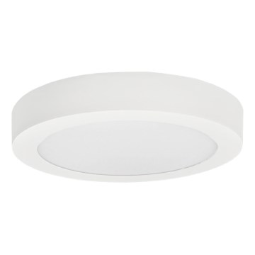 Plafonnier LED FENIX LED/18W/230V 3800K d. 22,5 cm neige blanc
