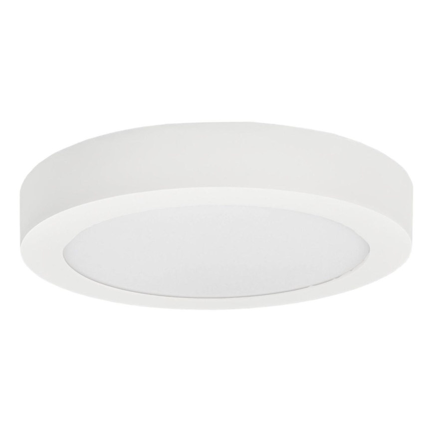 Plafonnier LED FENIX LED/18W/230V 3800K d. 22,5 cm neige blanc