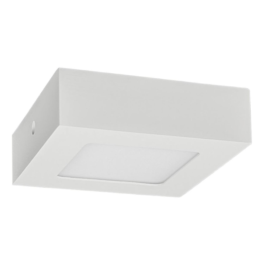 Plafonnier LED FENIX LED/6W/230V 3800K 12 cm