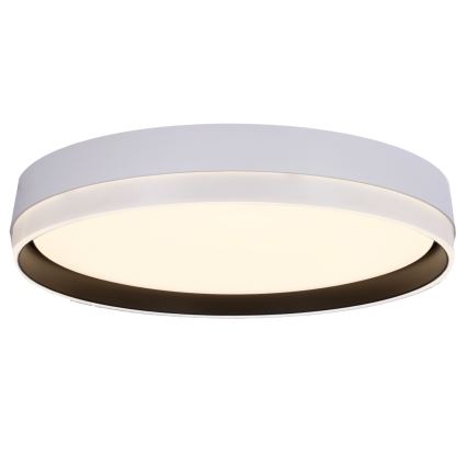 Plafonnier LED FLORIDA LED/24W/230V blanc