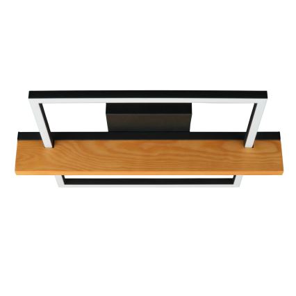 Plafonnier LED LARYSA LED/11,5W/230V 35x45 cm pin