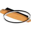 Plafonnier LED MELISA LED/12W/230V 30x40 cm en pin