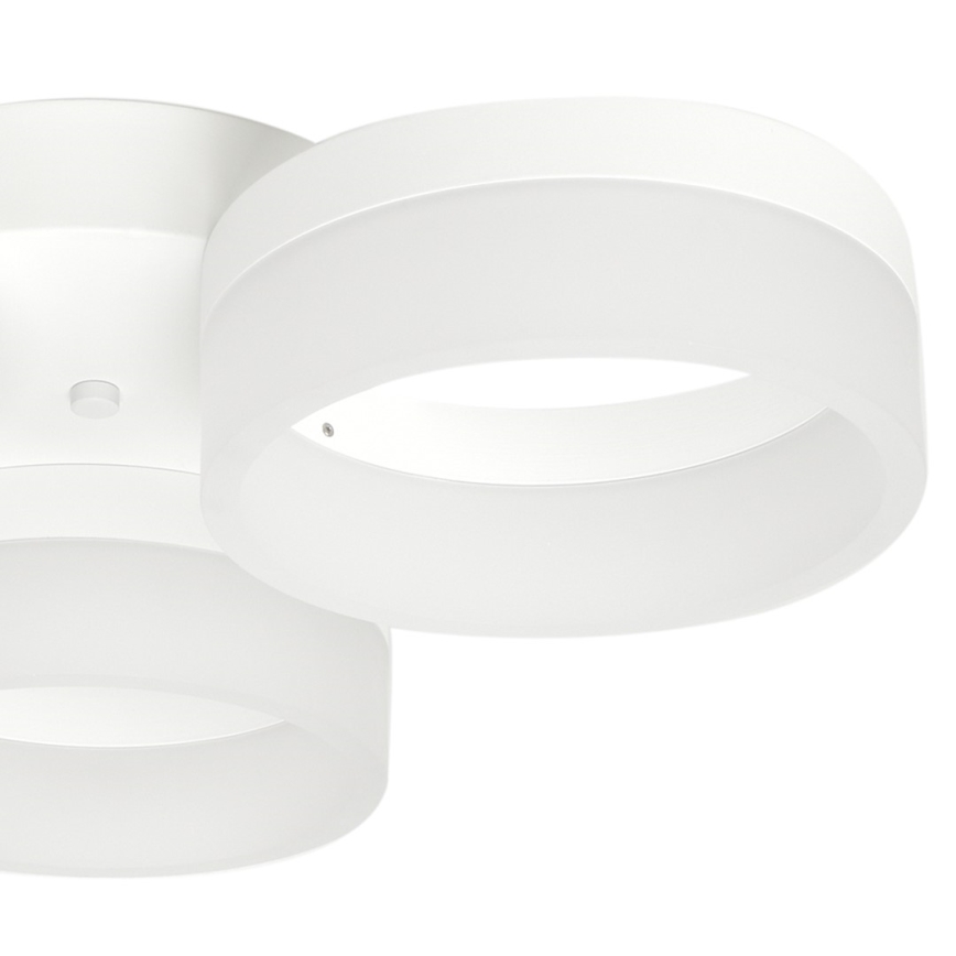 plafonnier LED RING 3xLED/12W/230V blanc
