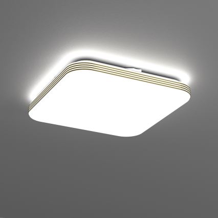 Plafonnier LED salle de bain DABAR LED/17W/230V 4000K 33x33 cm IP44