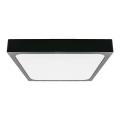 Plafonnier LED salle de bain LED/24W/230V 6500K IP44 noir