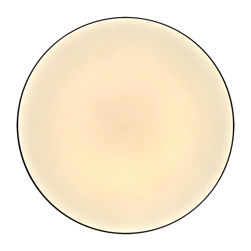 Plafonnier LED salle de bain MOON LED/18W/230V noir IP44